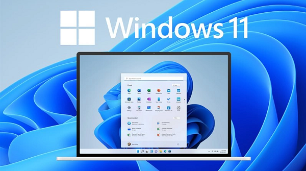 Bản cập nhật Windows 11